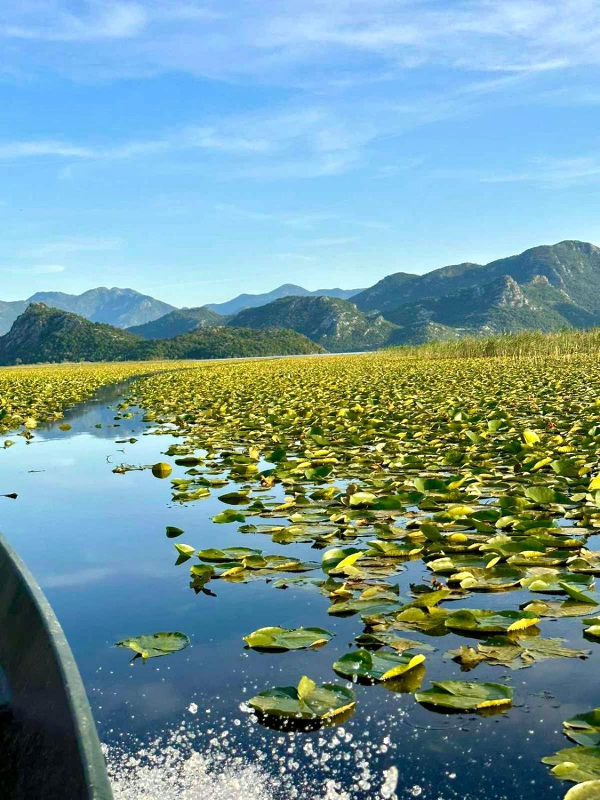 Casa Di Kiara, Skadar Lake Dodosi Eksteriør bilde