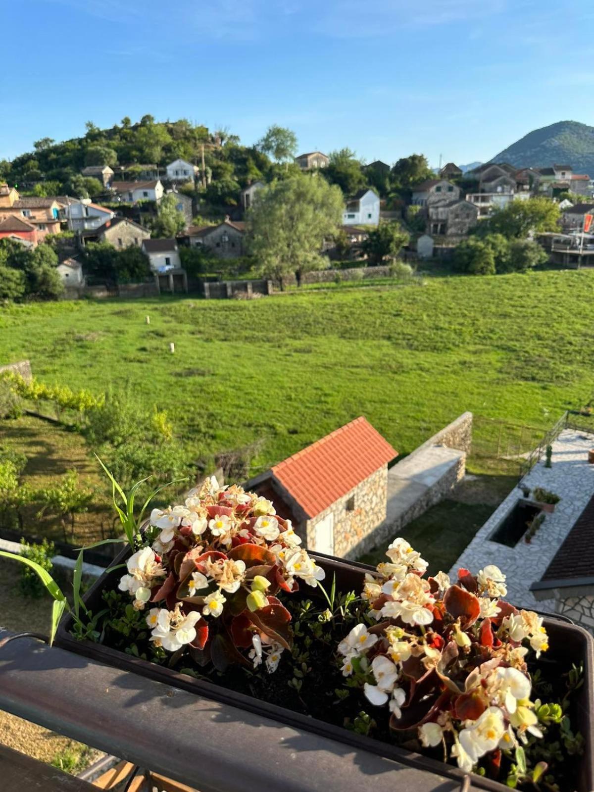 Casa Di Kiara, Skadar Lake Dodosi Eksteriør bilde